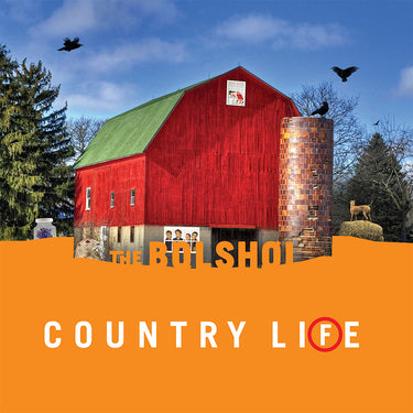 THE BOLSHOI - Country Life - 2LP - Green / Orange Vinyl