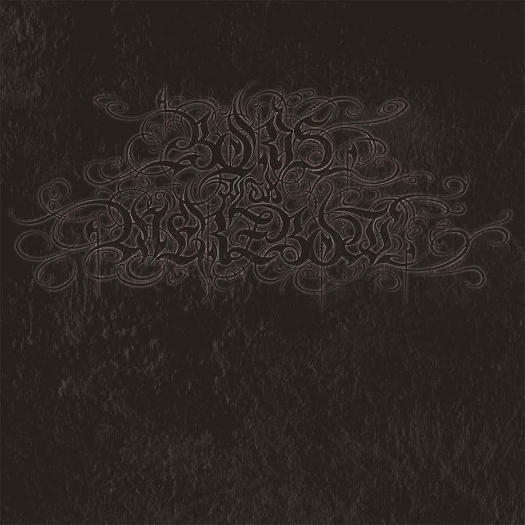 BORIS with MERZBOW - 04092001 (2023 Reissue) - LP - Silver Vinyl [NOV 17]