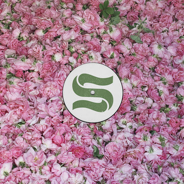 BRAXE + FALCON - Step By Step Remixes - 12" EP - Vinyl [JUN 9]