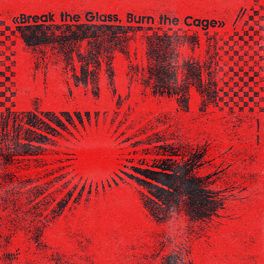 VARIOUS - Break The Glass, Burn The Cage (The Sound of Indie Punk Rock) - CD [MAY 16]