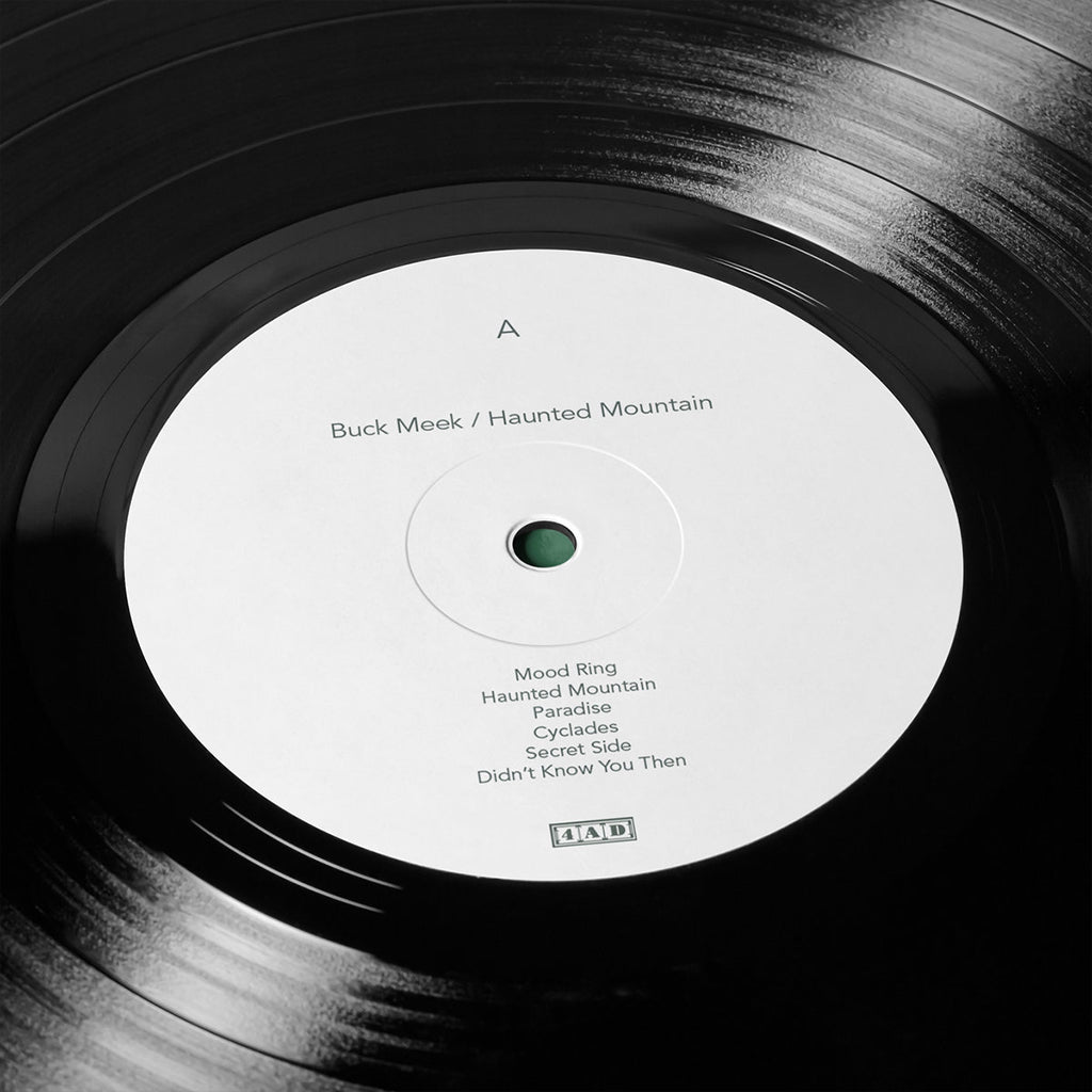 BUCK MEEK - Haunted Mountain - LP - Black Vinyl [AUG 25]