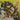 THE BUTTERFIELD BLUES BAND - Keep On Moving (Mobile Fidelity Numbered Edition) - LP - Deluxe 180g Audiophile Vinyl