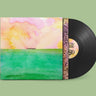 Black Vinyl LP