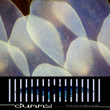 CD