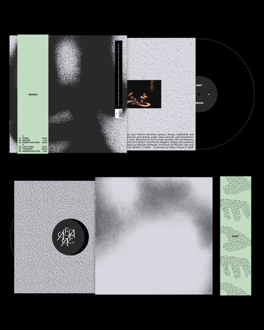 Black Vinyl LP