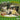 Various Artists - Looking For Evergreens! (Sunshine, Soft & Studio Pop 1966-1971)
