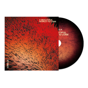 CD