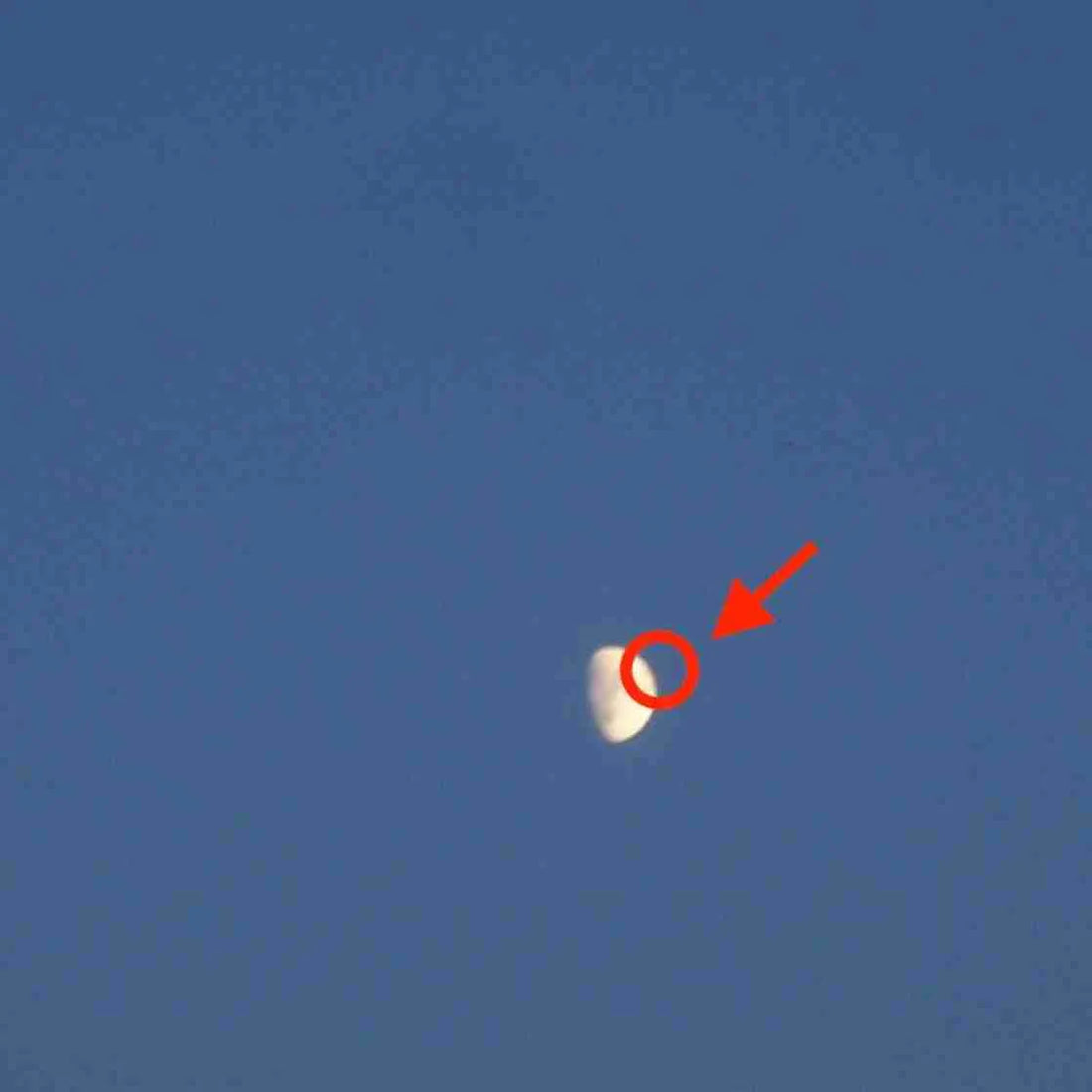 CLEOPATRICK - Fake Moon - LP - Red Vinyl