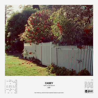 CASEY - How To Disappear - LP - Vinyl - Dinked Edition #267