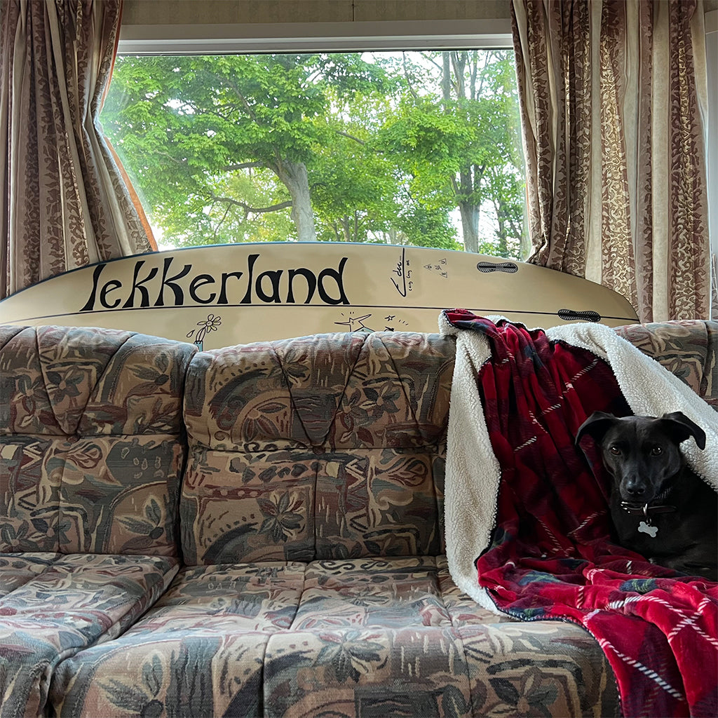 CASEY LOWERY - Lekkerland - LP - White Vinyl [JUL 25]