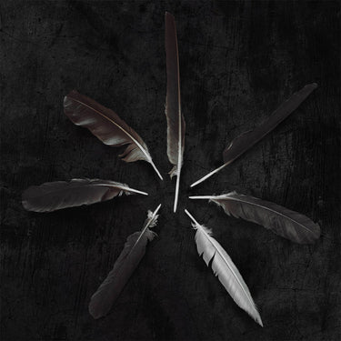 CASPIAN - Dust And Disquiet (Reissue) - LP - Emerald Green/White Vinyl