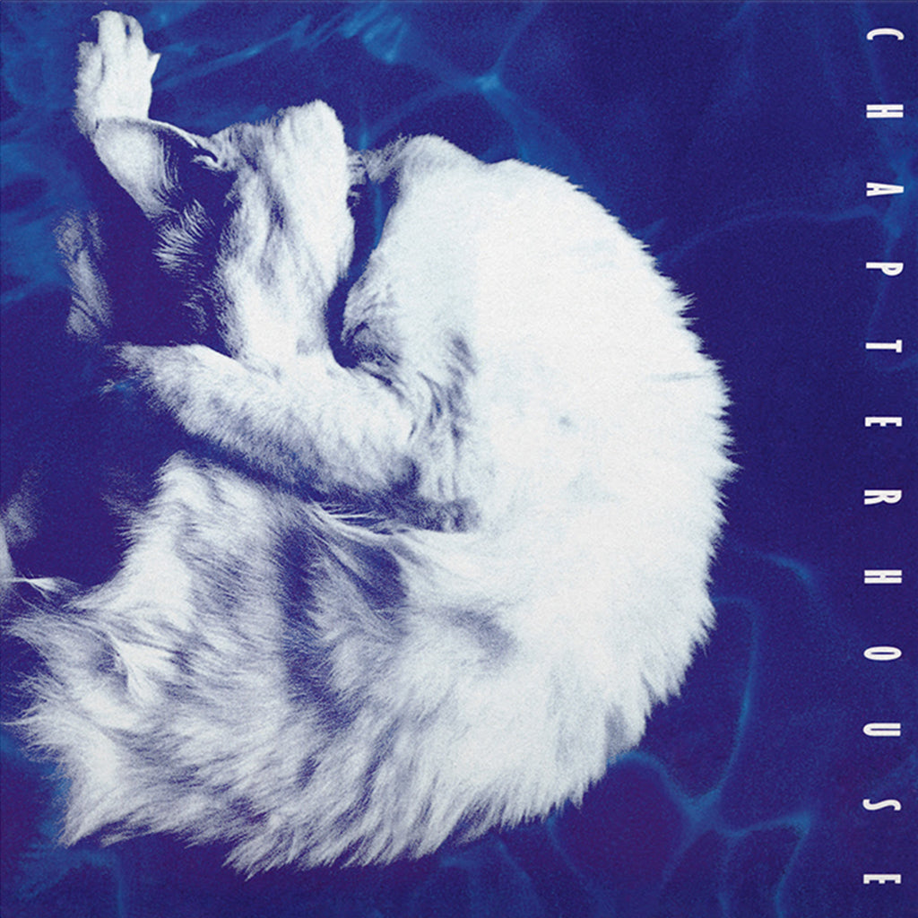 CHAPTERHOUSE - Whirlpool (2024 Reissue) - LP - 180g White Marbled Vinyl