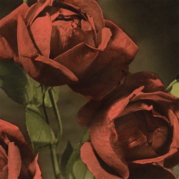 CINDY - Another Country - CD [MAY 1]