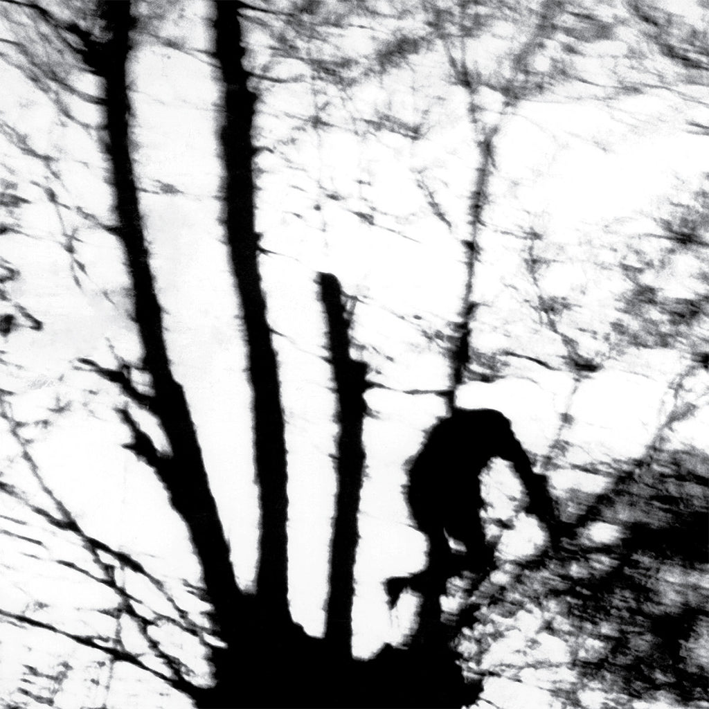 CINDYTALK - Camouflage Heart (Reissue) - LP - Transparent Vinyl [MAY 23]