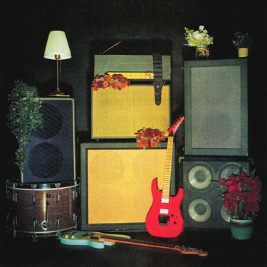 Vinyl LP