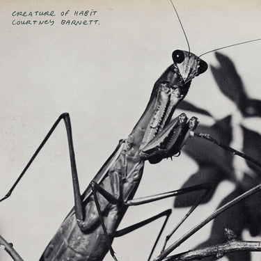 COURTNEY BARNETT - Creature Of Habit - LP - Translucent Milky 'Cloudy Clear' Vinyl [MAR 27]