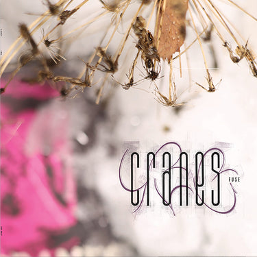 CRANES - Fuse - LP - Vinyl - Dinked Archive Edition #18