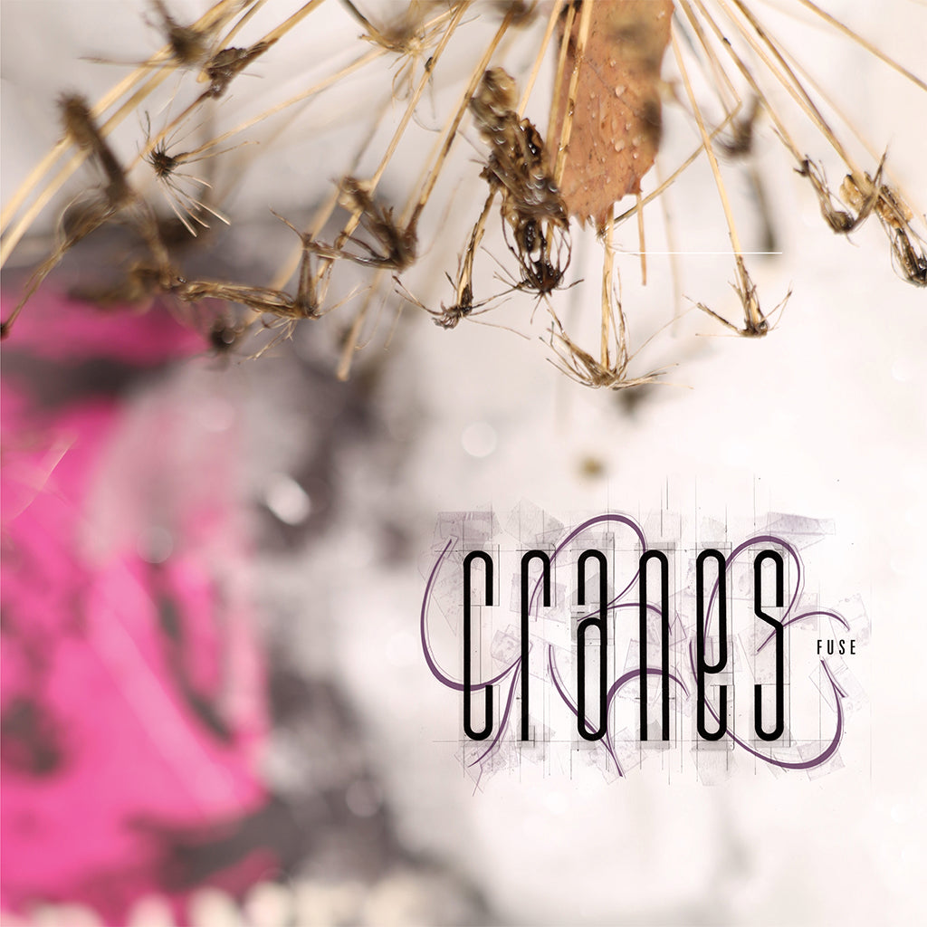 CRANES - Fuse (2024 Reissue with Bonus Track) - CD