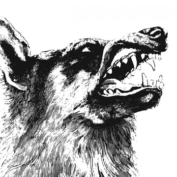 CRIPPLED BLACK PHOENIX - I, Vigilante (Reissue) - LP - Vinyl