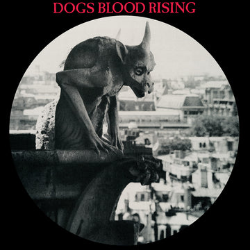 CURRENT 93 - Dogs Blood Rising (Reissue) - LP - Picture Disc Vinyl