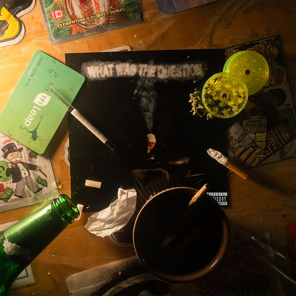 CURTISY - What Was The Question  - LP - 180g Vinyl