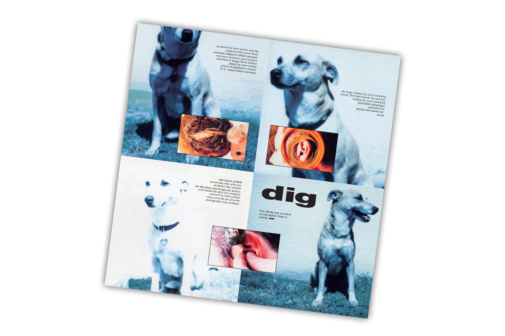 DIG - Dig (Reissue) - LP - 180g Vinyl [SEP 27]