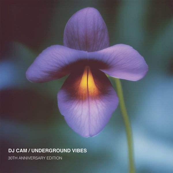 (USED)DJ CAM UNDERGROUND VIBES アナログレコード DJ CAM - Underground Vibes (30th Anniversary Edition) - LP