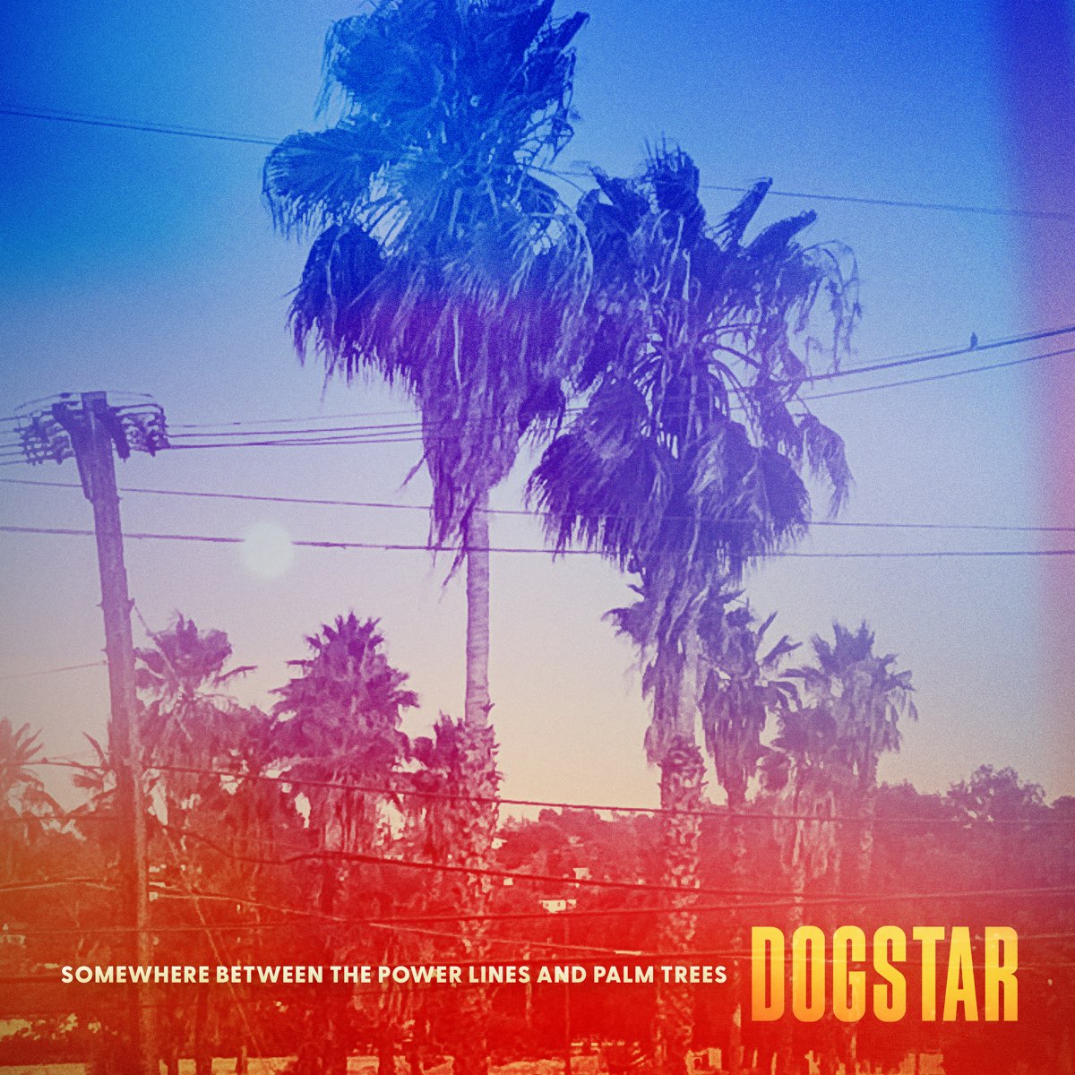 DOGSTAR - Somewhere Between the Power Lines and Palm Trees - LP - Leaf Green Vinyl [OCT 6]