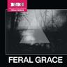 THE BLACK DOG - FERAL GRACE