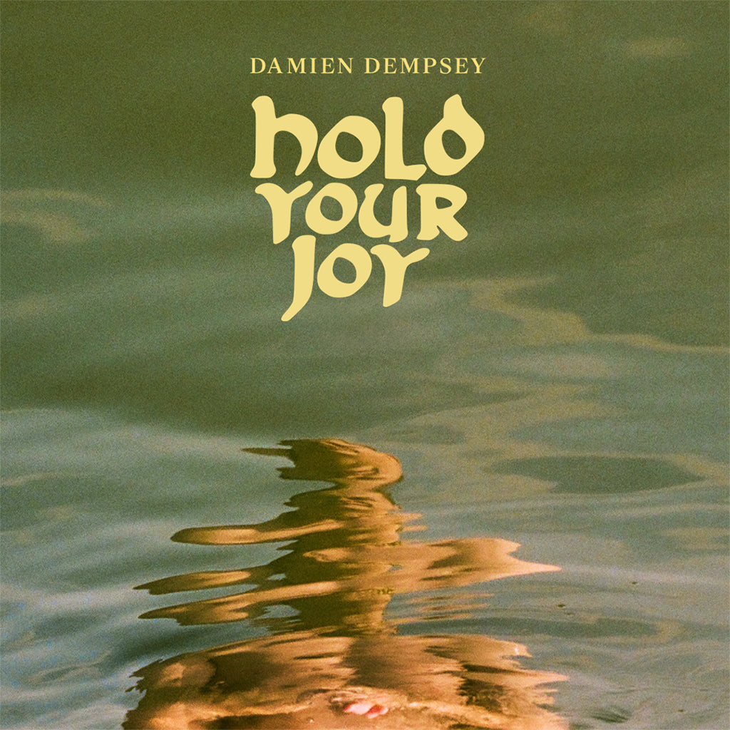 DAMIEN DEMPSEY - Hold Your Joy - CD [OCT 25]