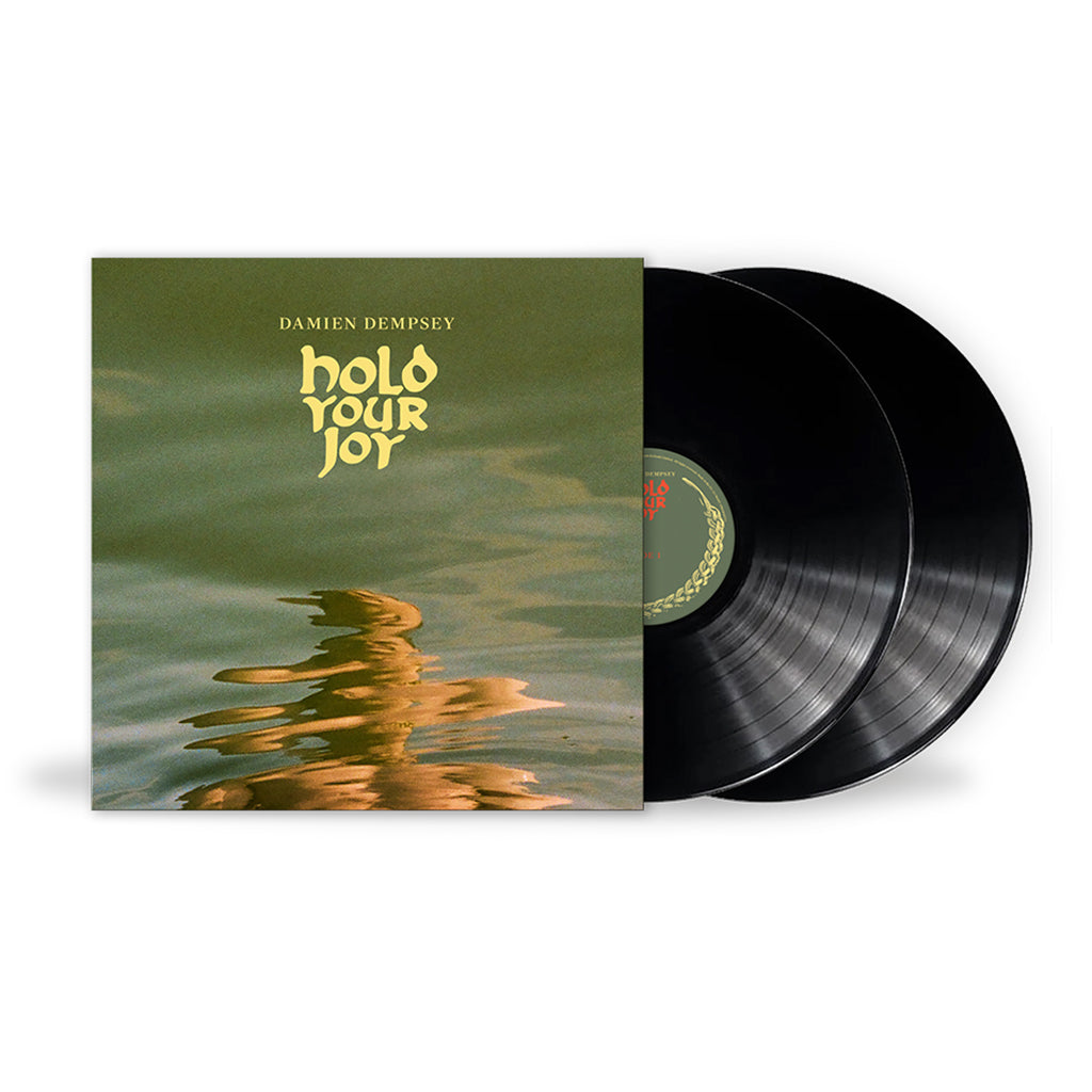 DAMIEN DEMPSEY - Hold Your Joy - 2LP - Black Vinyl
