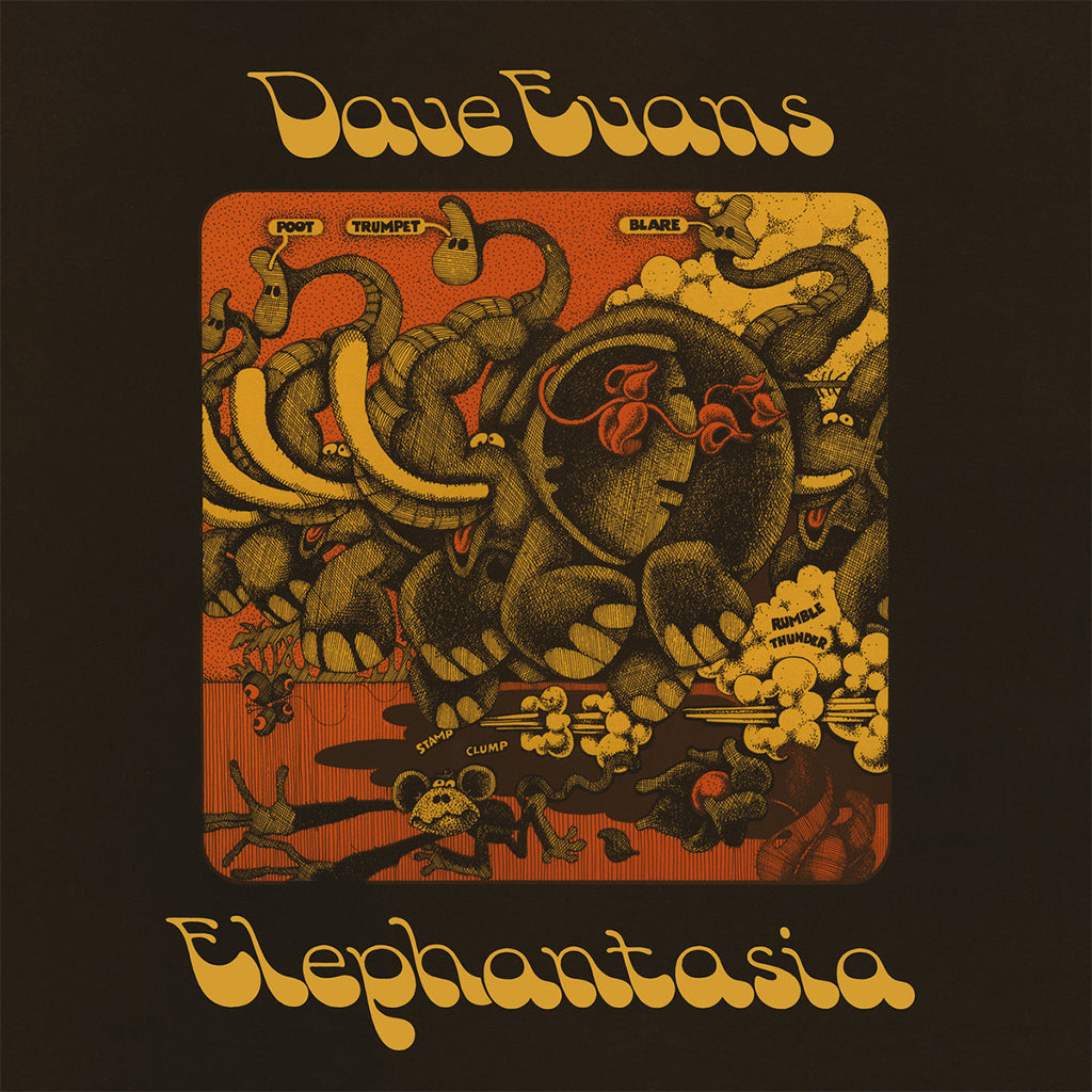 DAVE EVANS - Elephantasia (2023 Reissue) - LP - Vinyl [NOV 24]