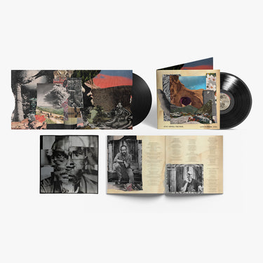 DAVE MATTHEWS BAND - Walk Around The Moon - LP - Gatefold Vinyl