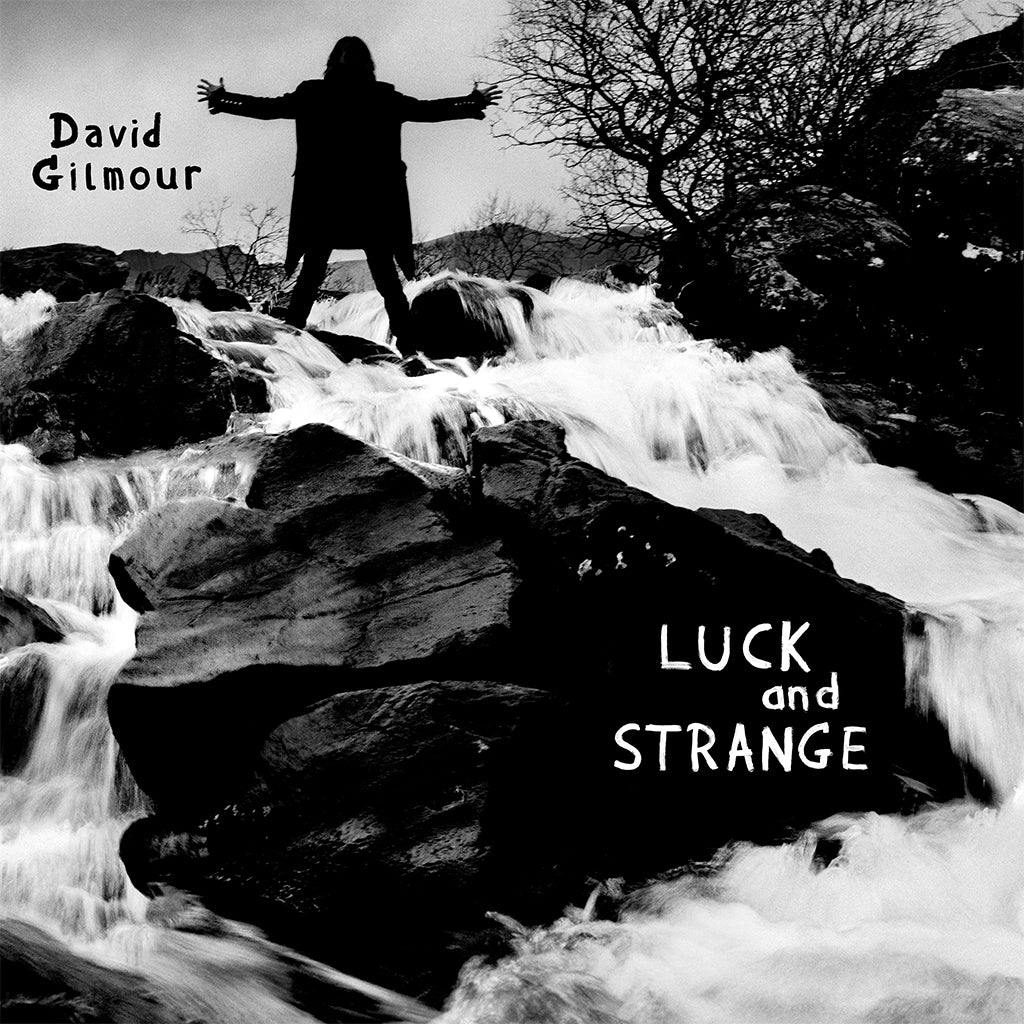 DAVID GILMOUR - Luck And Strange - LP - Gatefold Black Vinyl [SEP 6]