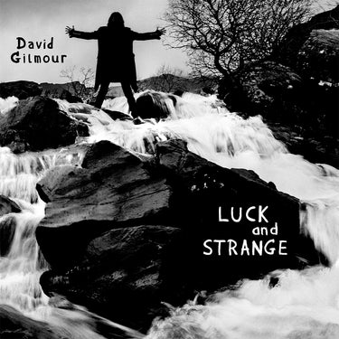 DAVID GILMOUR - Luck And Strange - LP - Gatefold Opaque Silver Vinyl