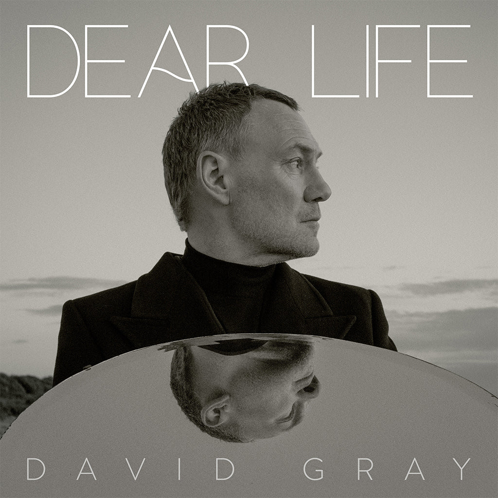 DAVID GRAY - Dear Life - 2LP - Seaweed Green Vinyl