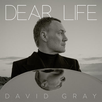 DAVID GRAY - Dear Life - 2LP - Black Vinyl [JAN 17]