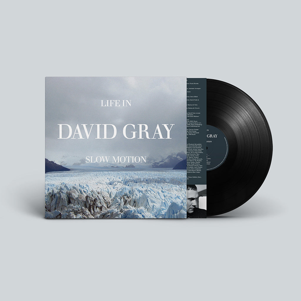 DAVID GRAY - Life in Slow Motion (20th Anniversary Edition) - LP - Black Vinyl [NOV 7]