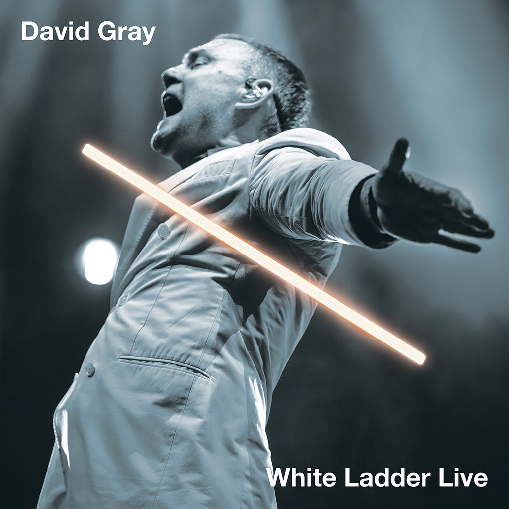 DAVID GRAY - White Ladder Live - 2LP - Vinyl [NOV 24]