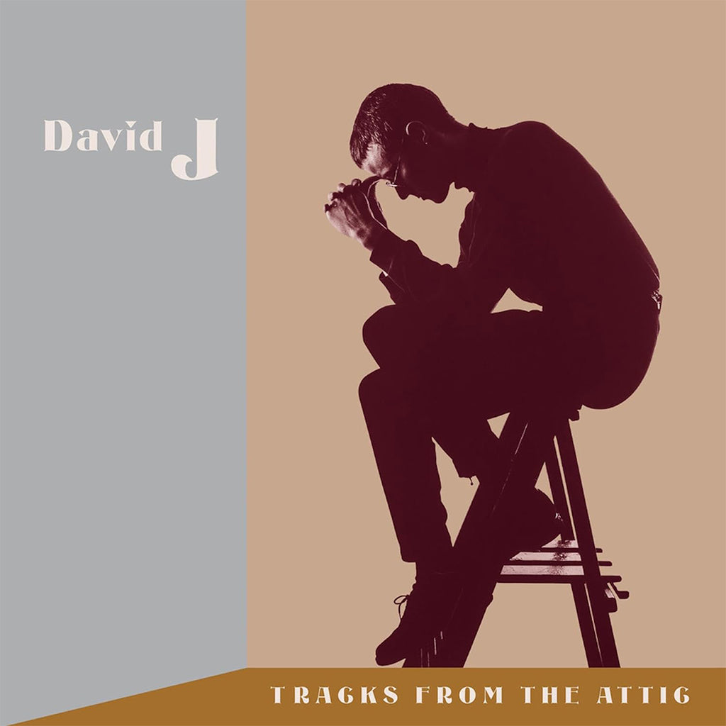 DAVID J - Tracks From The Attic - 3LP - Opaque Brown Vinyl + 3CD - Box Set