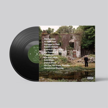 DAVID KEENAN - Modern Mythologies - LP - Vinyl