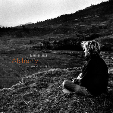 DAVID SYLVIAN - Alchemy - An Index Of Possibilities (Reissue) - LP - Corona Gold & Red Colour Vinyl [OCT 3]
