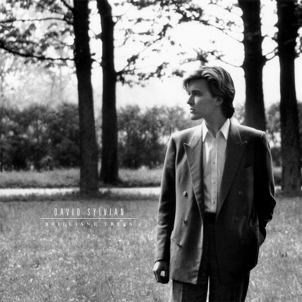 DAVID SYLVIAN - Brilliant Trees (Reissue) - LP - Corona Olive & Black Colour Vinyl [OCT 3]