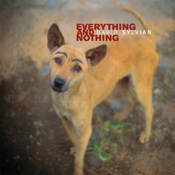 DAVID SYLVIAN - Everything And Nothing (Reissue) - 3LP - Vinyl