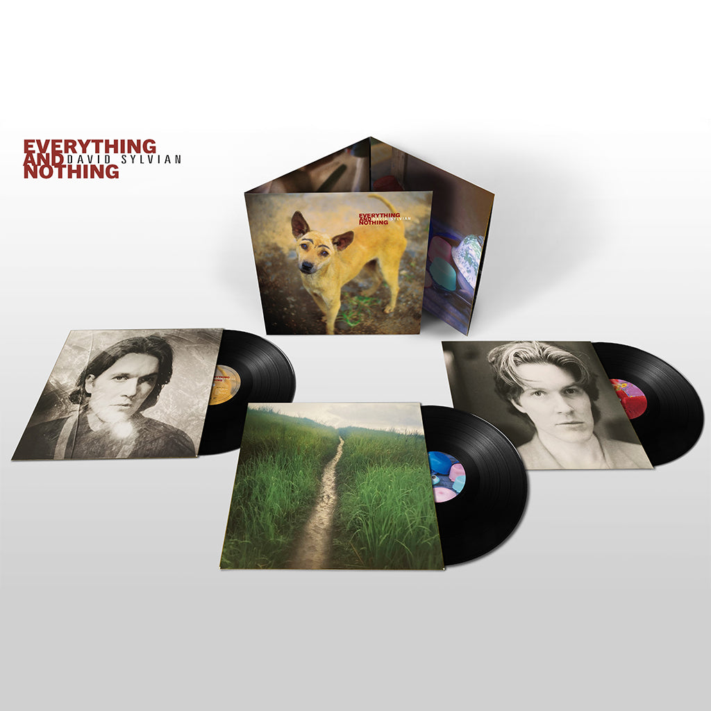 DAVID SYLVIAN - Everything And Nothing (Reissue) - 3LP - Vinyl