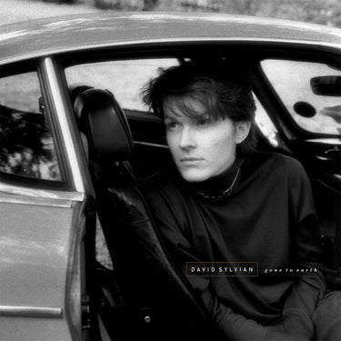 DAVID SYLVIAN - Gone To Earth (Reissue) - LP - Corona White, Brown & Black Colour Vinyl