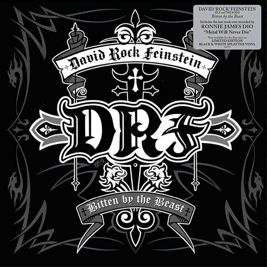 DAVID "ROCK" FEINSTEIN - Bitten By the Beast (Reissue) - LP - Black And White Splatter Vinyl [OCT 25]