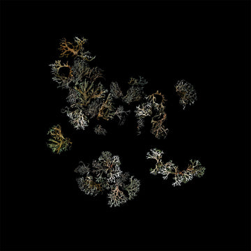 DEATHCRASH - Return (Repress) - 2LP - Vinyl