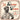 DELROY WILSON - The Cool Operator - CD