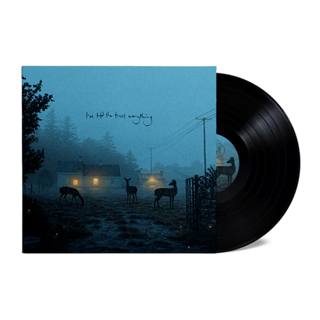 DERMOT KENNEDY - I’ve Told The Trees Everything - 12'' EP - Vinyl [JUN 14]